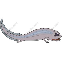Prehistoric Fish Collection