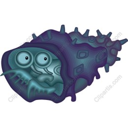 Whimsical Sea Creature