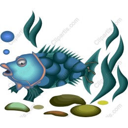 Vibrant Underwater Fish