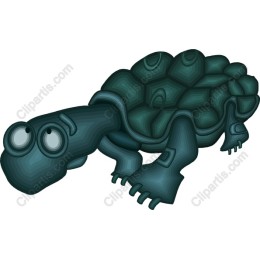 Charming Cartoon Turtle