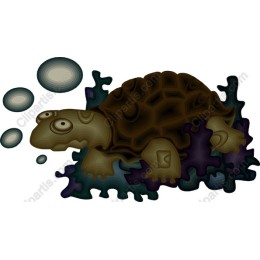 Charming Turtle Coral Reef