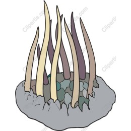 Underwater Marine Spires