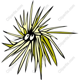Spiky Creature