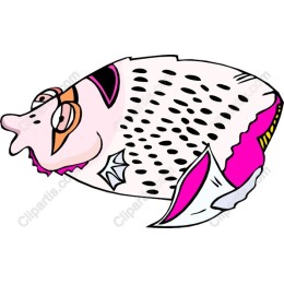 Playful Fish