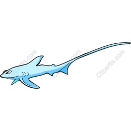 Playful Cartoon Shark