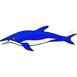 Blue Marlin