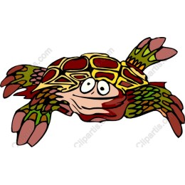 Colorful Whimsical Turtle
