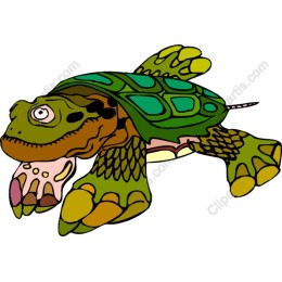 Whimsical Turtle