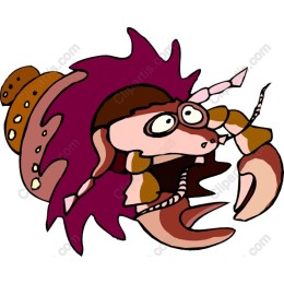 Charming Hermit Crab