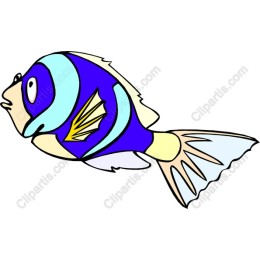 Colorful Marine Life Fish
