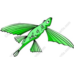 Whimsical Flying Fish