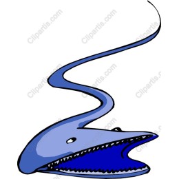 Whimsical Whale