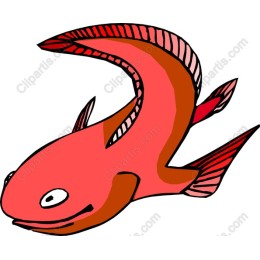 Whimsical Rosy Fish