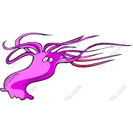 Colorful Pink Octopus