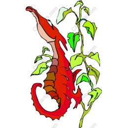 Colorful Seahorse