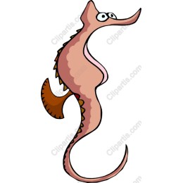 Playful Seahorse