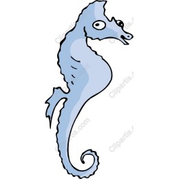 Charming Seahorse