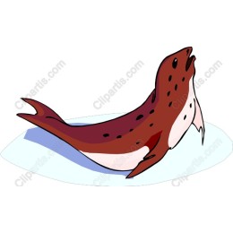 Playful Fish