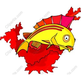 Colorful Cartoon Fish