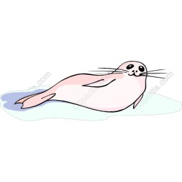 Adorable Pink Seal