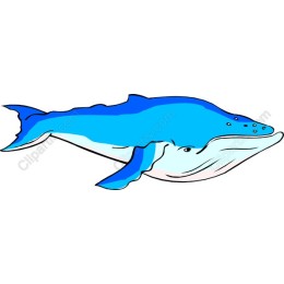 Majestic Blue Whale