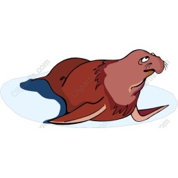 Whimsical Cartoon Seal