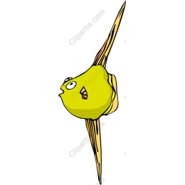 Quirky Yellow Fish