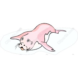 Playful Pink Seal