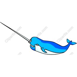 Playful Narwhal