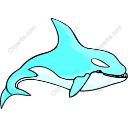 Vibrant Blue Orca