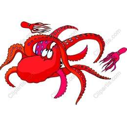 Vibrant Ocean Creatures