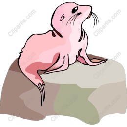 Charming Pink Seal