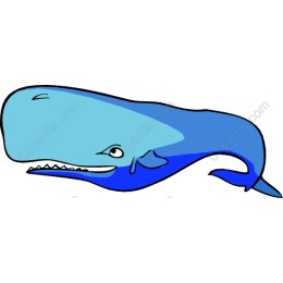Whale