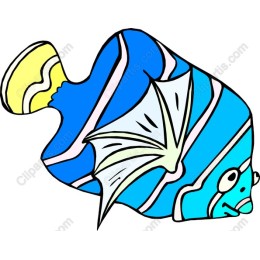 Vibrant Tropical Fish