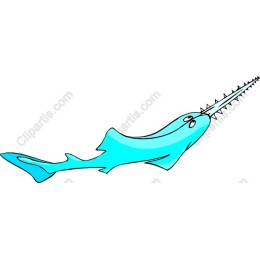 Charming Narwhal