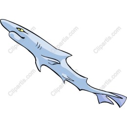 Stylized Shark