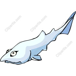 Cartoon Shark