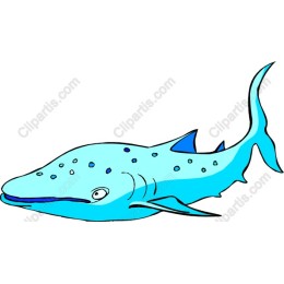 Vibrant Whale Shark