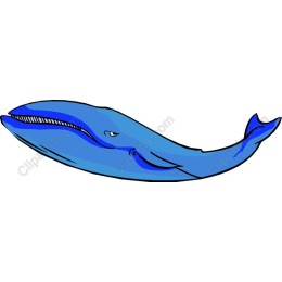 Majestic Blue Whale