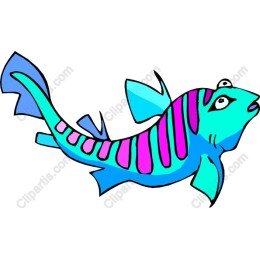 Colorful Playful Fish