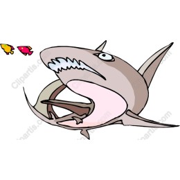 Playful Cartoon Shark