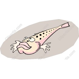 Cartoon Fish