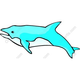 Playful Blue Dolphin