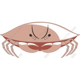 Vibrant Crab