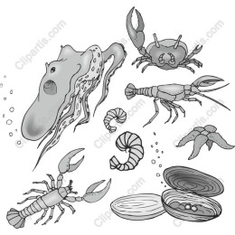Marine Life Monochrome