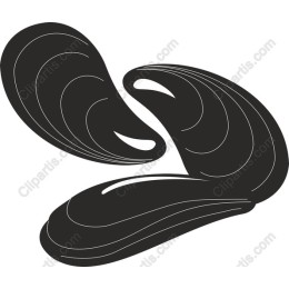Elegant Mussel