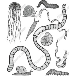 Nature-Inspired Collection: Jellyfish, Snails & Worms