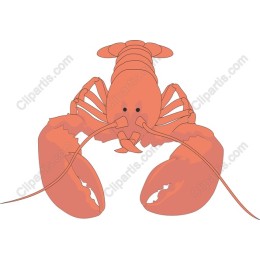 Vibrant Lobster