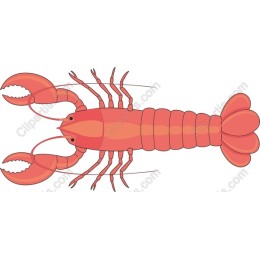 Lobster