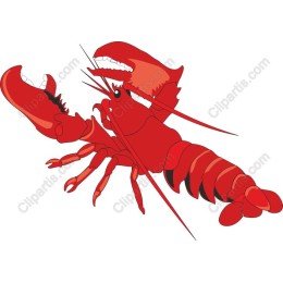 Lobster